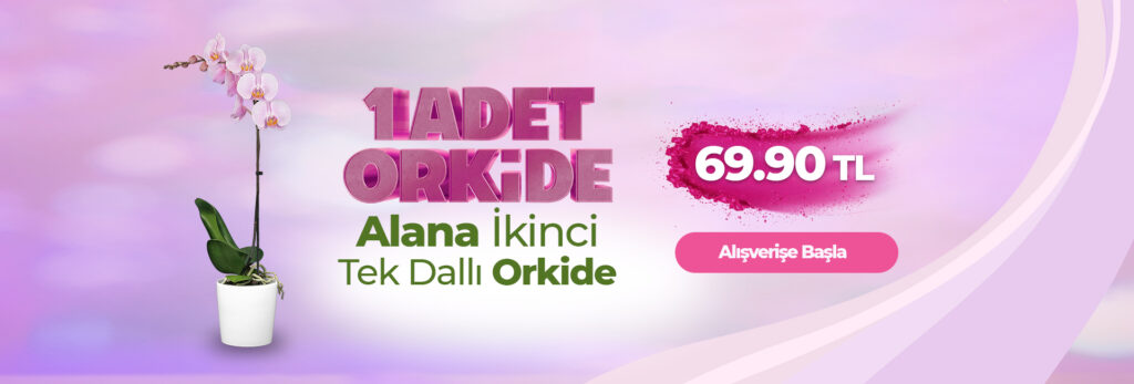 1 tek orkide slider