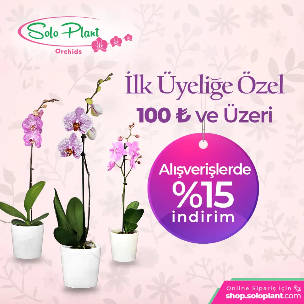 orkide3 svg+xml;charset=utf