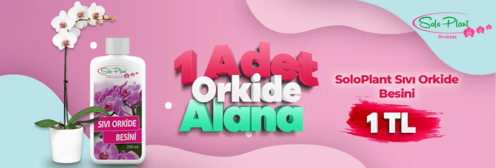 slider2 1