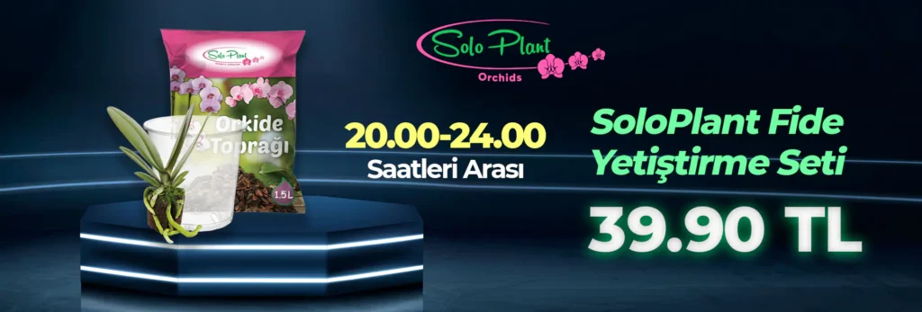 slider5 kopya